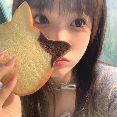 秘密入侵