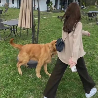 白宫效应