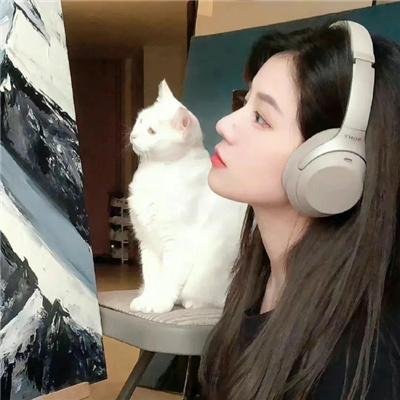 美人镖局