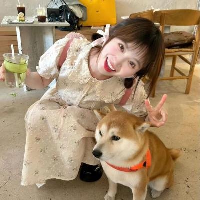 爱的复数题